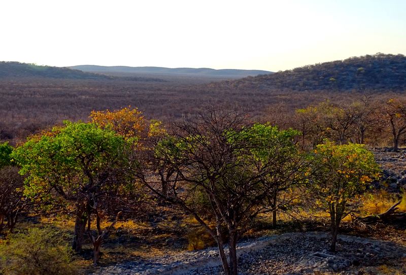 ../Images/HSU,WEI-HSIN Namibia Epacha Game Lodge & Spa (4).jpg